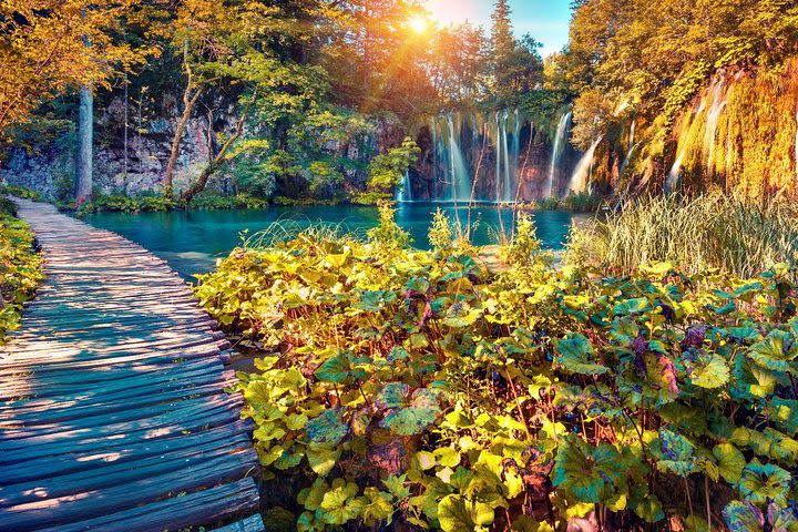 Economy Plitvice Lakes tour from Split image