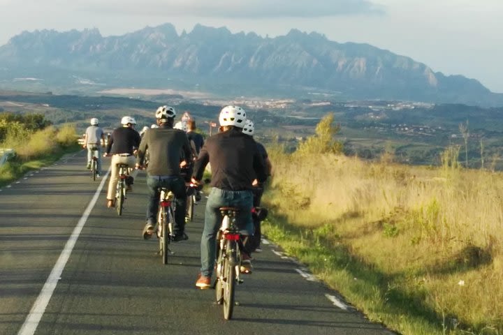 Barcelona: Wine e-Bike Tour in Penedès - Half Day  image