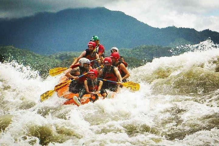 Rafting & La Tarqui Zoo - Lunch - Puyo Selvatico Scenery image