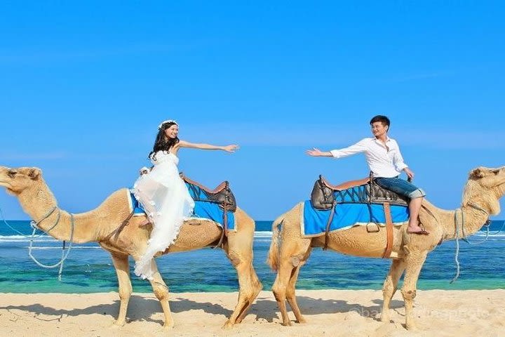 The Best Private Trip With Camel Safari 30 minutes In White Sand Beach  image