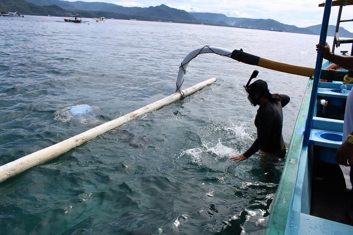 Snorkeling Tour at Blue Lagoon with Private Hotel Transfer  image