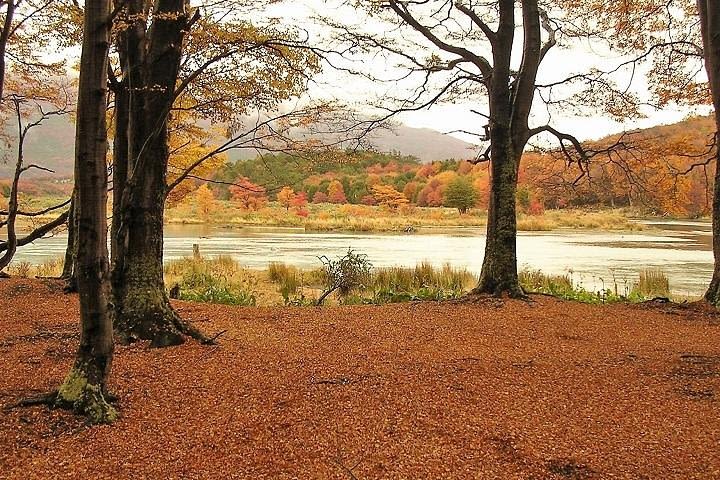 Ushuaia-End of the World tour -National Park 4 hours (shared tour-) image