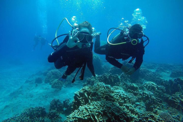 Easter Island Scuba Diving Experience image