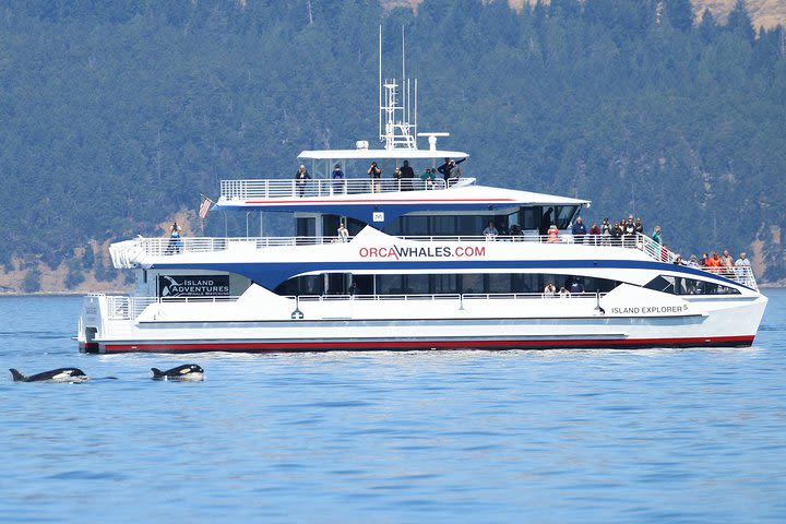 Anacortes Guaranteed Whale Watch Tour image