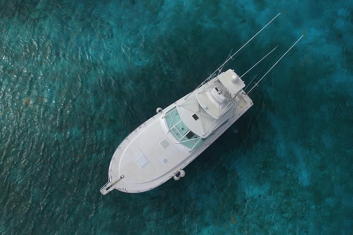 45 ft Cabo image