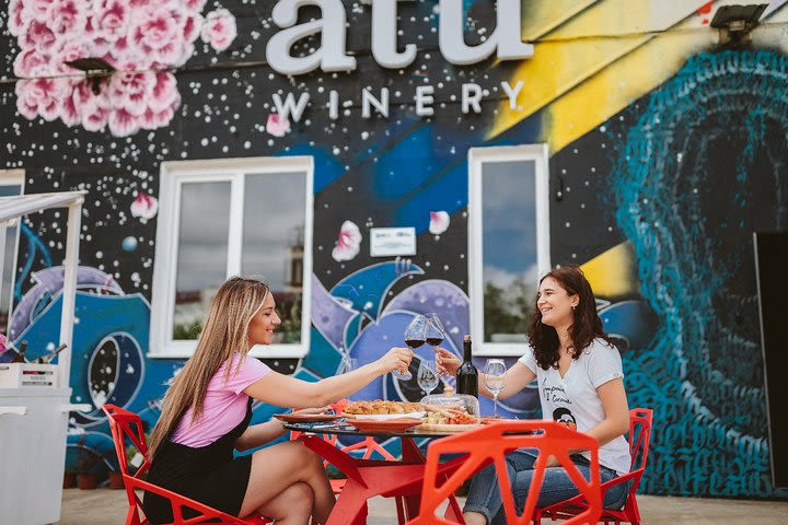 2.5-Hour Chisinau ATU Winery Tour with Tasting and Grafitti image