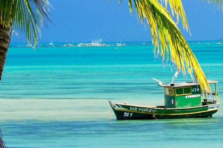 Salvador da Bahia 4-Day Cultural Tour image