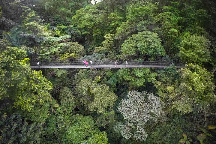 2-in-1 Arenal Combo Tour: Hanging Bridges + La Fortuna Waterfall image