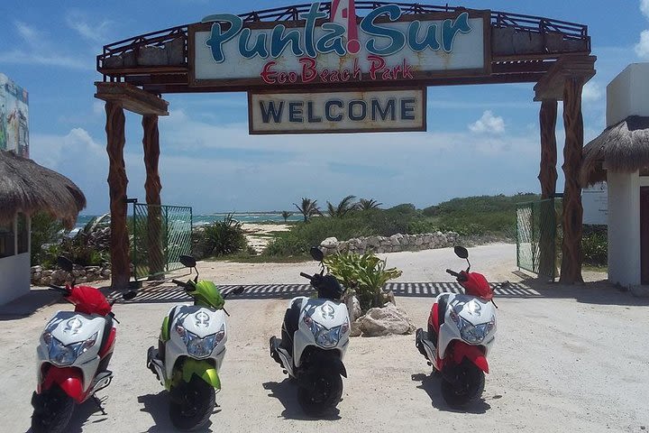 The Only Scooter Tour in Cozumel, Snorkel, Lunch, East Coast And City Tour  image
