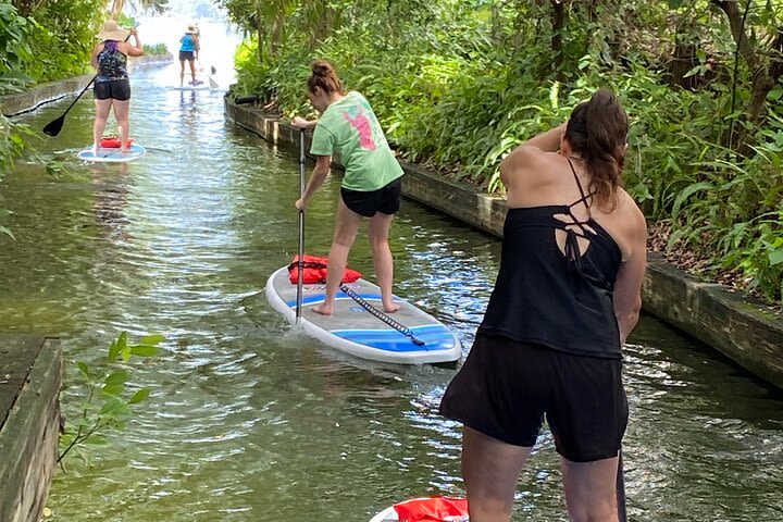 Mansion Paddle Board or Kayak through the Winter Park Canals image