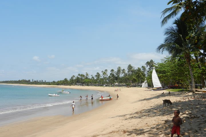 Coconut Coast and Praia do Forte - the famous beaches image