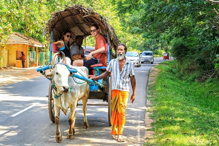 Sigiriya Day Tour from Kandy image