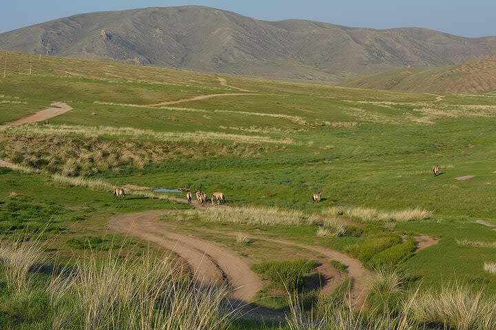 Private 3-Day Tour of National Parks From Ulaanbaatar image