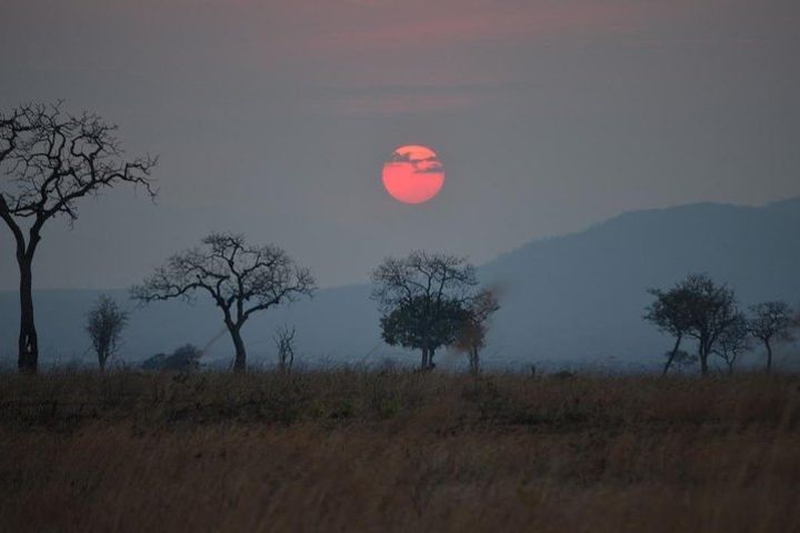 2 Days Mikumi and Udzungwa falls National Parks from Ifakara Tanzania image