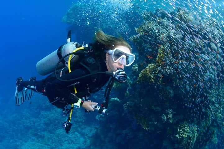 SSI Open Water Diver Course in Tenerife image