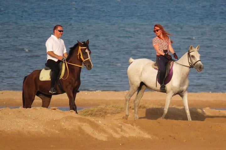 Private Experience Horse Riding 2 Hours Hurghada (Desert & Beach) image