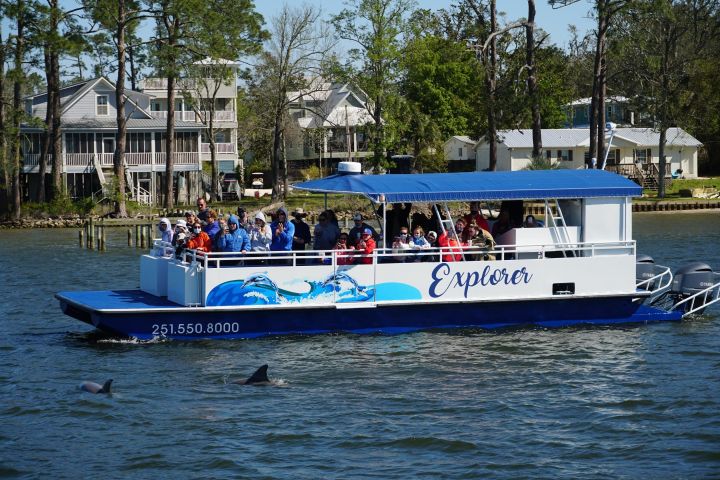 Orange Beach Dolphin Eco Boat Tour image