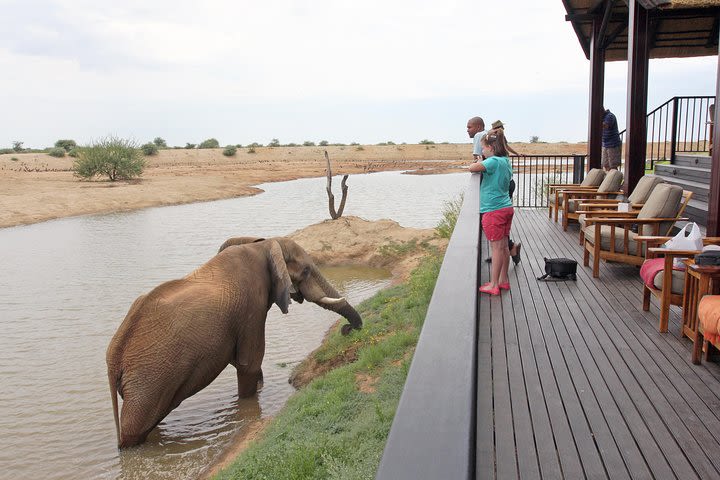 Adventure Silver Safari image