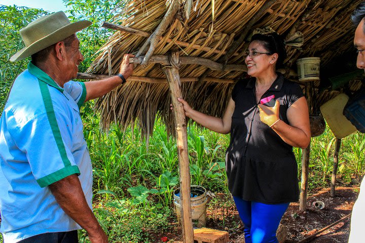 From the Milpa to Tourism: Farming, Cenote & Ek Balam Pyramids Tour image