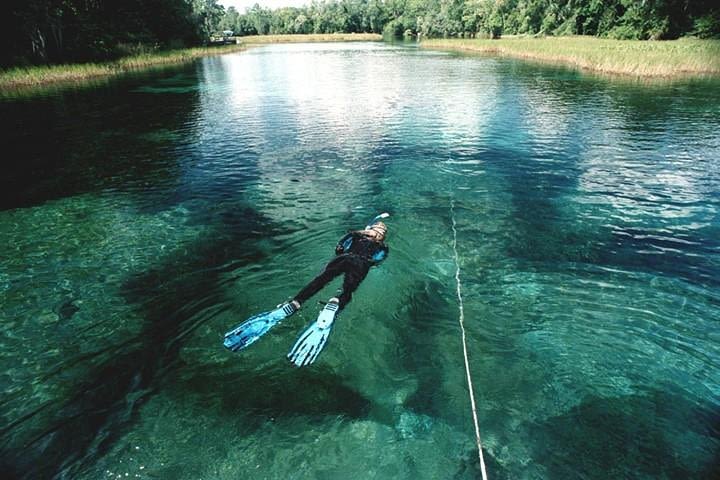 Snorkel Or Dive The Amazing Rainbow River Florida image