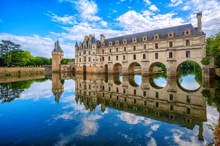 Private Chenonceau Castle Guided Tour from Tours image