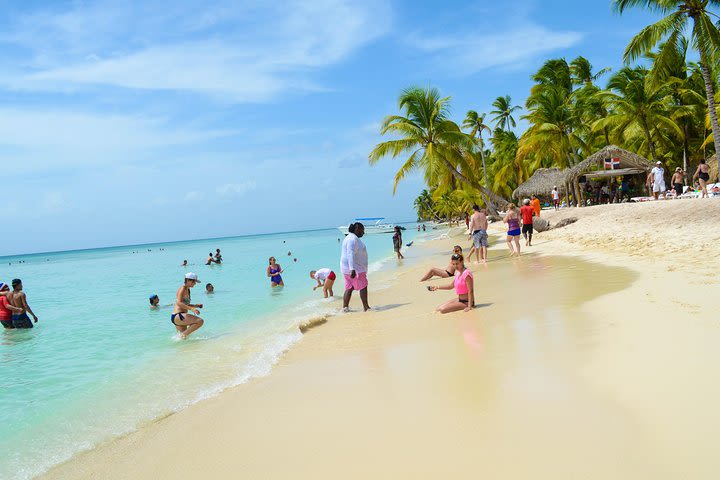 Professional Saona Island Tour image