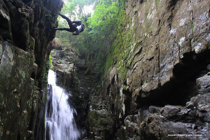 Full Day Sub-Tropical Rainforest Canyoning Adventure from Sydney image