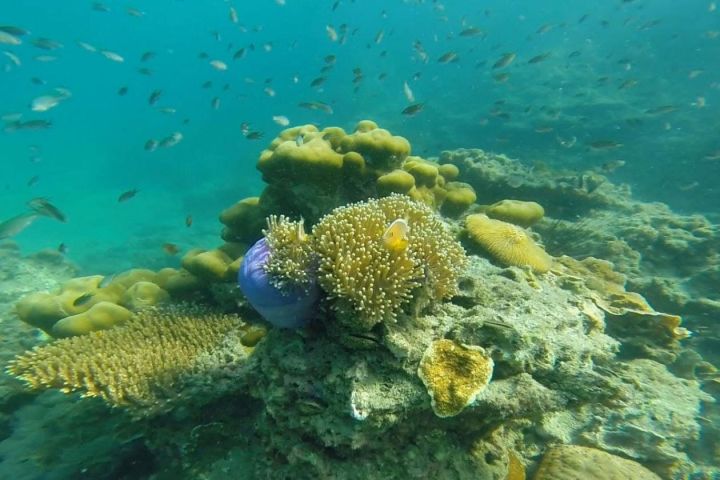 4-Island Snorkeling Adventure from Koh Lanta image
