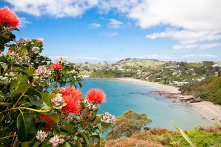 Half Day Waiheke Wine Tour image