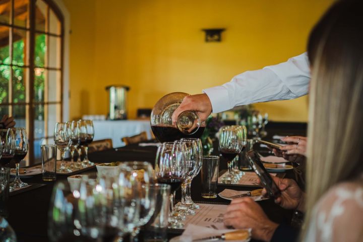  Tour Viña Santa Catalina: Cata de Vinos cerca de Santiago image