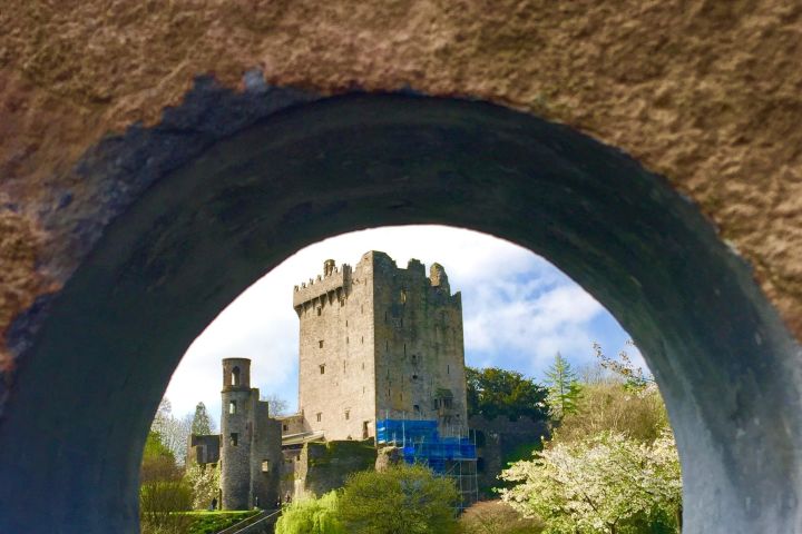 Private Shore Excursion Blarney Castle and Kinsale  image