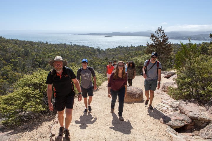 Active Day Tour One-Way from Hobart to Launceston via Wineglass Bay image