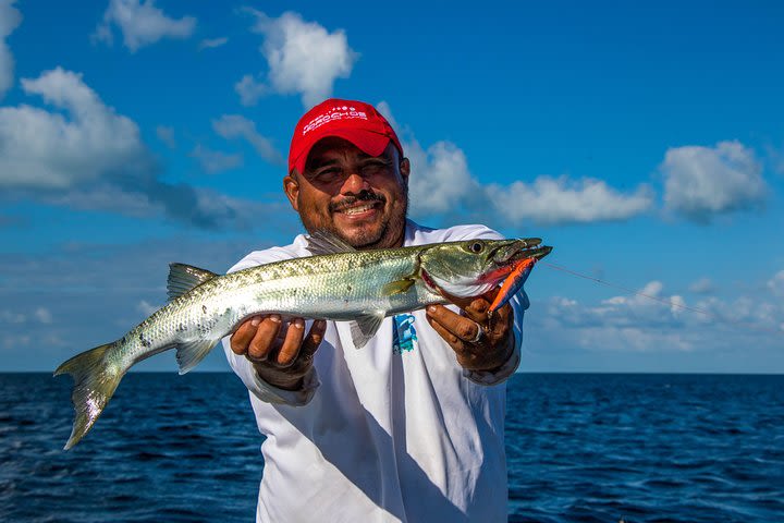 Sportfishing tour: Searching for the Tarpon & Seabass image