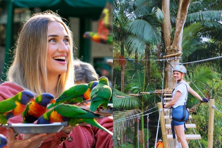 Currumbin Wildlife Sanctuary & Treetop Challenge image