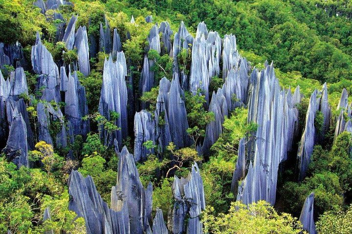 3-Day Private Relaxing Tour of Kunming including Stone Forest image