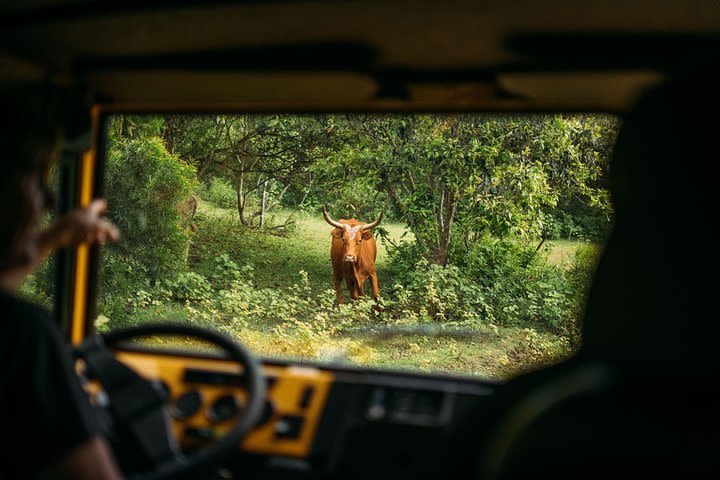 Private Off-Road Adventure Tour image