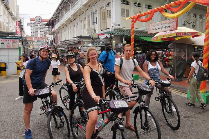 Historical Singapore Bike Tour image