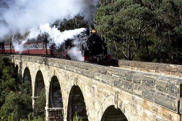 [Private Tour] Healesville Sanctuary Wildlife & Puffing Billy Steam Train image