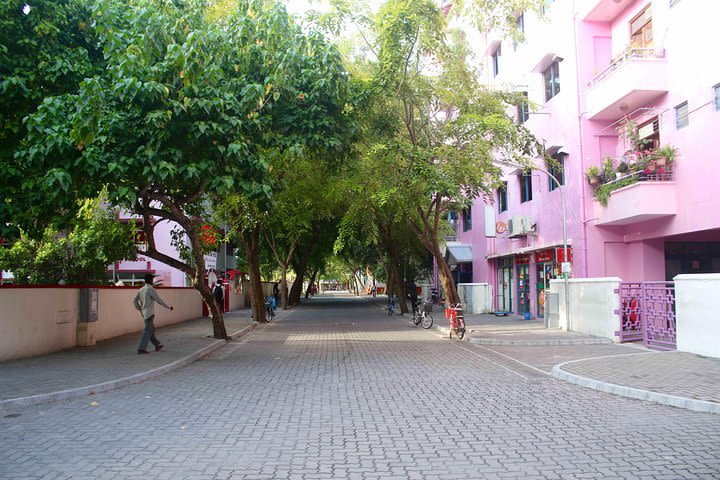 Half-Day Original Eco Tour to Villimale From Malé image