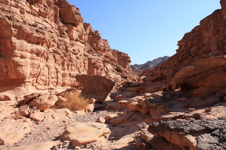 The Coloured Canyon / White Canyon From Dahab image