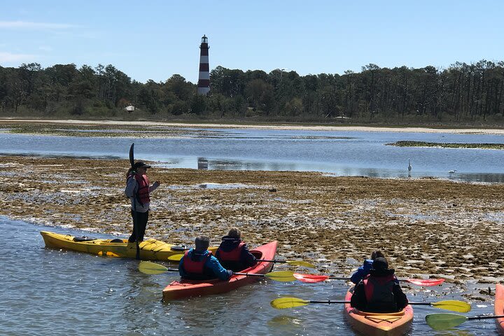 Kayak Tour around Chincoteague and Assateague Islands image