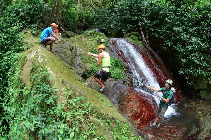 Full-Day Zipline and Waterfall Rappelling Adventure Near San Juan image