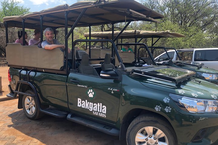 Full Day Pilanesberg Safari in Open Vehicle from Johannesburg image