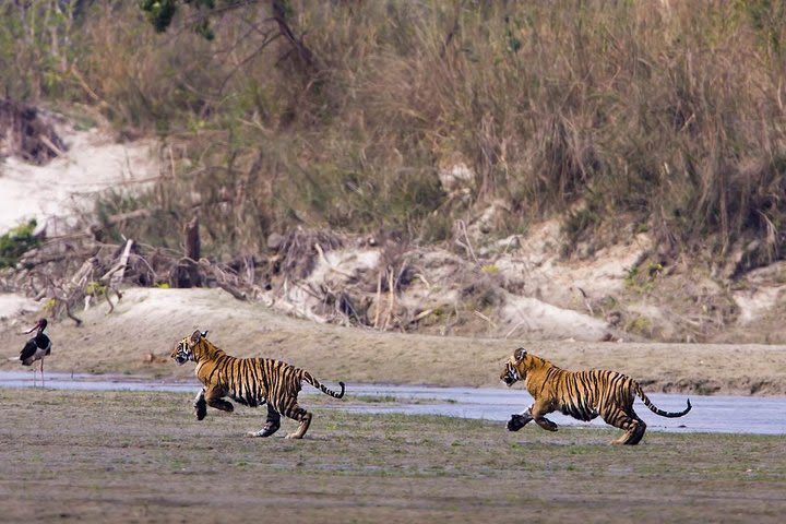 Nepal Classic Tour image