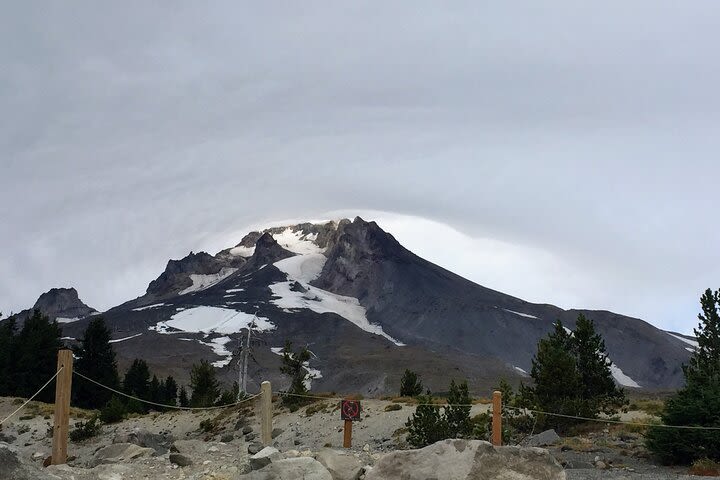 Private Tour at The Hood-Columbia Loop: Timberline, Orchards, and Waterfalls image