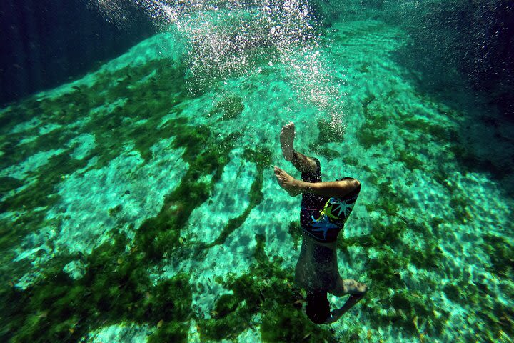 Tulum Reef and Cenote Snorkel Tour image