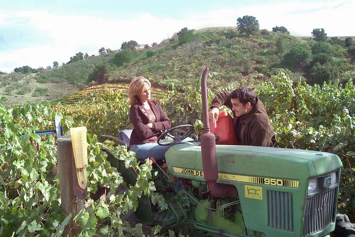 Private Paso Robles Wine Tour in Mercedes Convertible for up to 18 Guests image