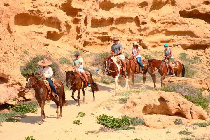 ATV & Horseback Combo enjoy adventure and beauty!  image