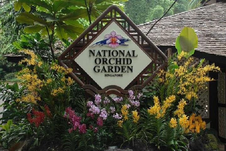 Private Half Day Singapore City Tour with Botanical Orchid Garden image