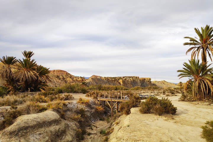 Day trip to Tabernas Desert from Granada image